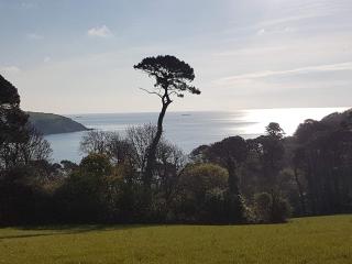 Condurrow Cottage - 2