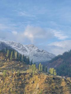 MJ s Cafe & Homestay - 8