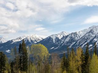 Mountain Private Hot Tub Fire Pit PÜR Lodging - 2