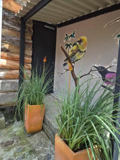 Cabañas Valle del Cocora La Truchera - 4