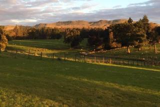 The Manor House, Killearn - 7