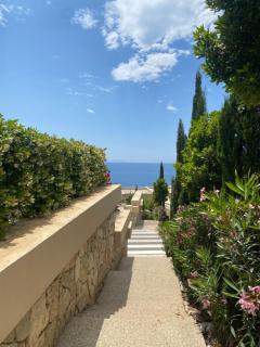 Sea La Sun, Green Coast - 4