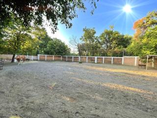 Rancho Acogedor Cerca de Atlixco - 7