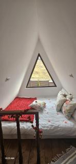 Mia Cabins A Frame Dofteana - 4