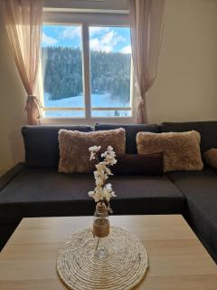 Duplex Étoilé Tout Confort Aux Pieds Des Pistes - Gérardmer - Gérardmer - 4