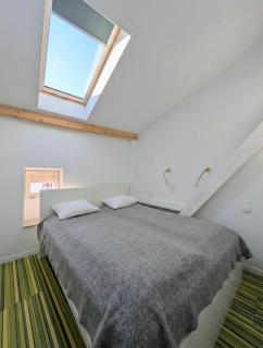 Pop Art Krakow Old Town - 2