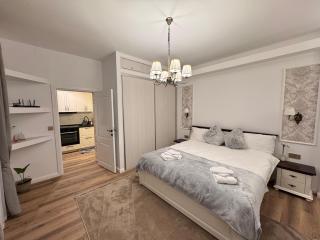 Studio Balcescu 49 - Central Brasov - 3