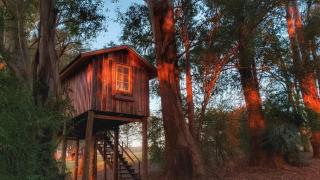 Pousada Fazenda Pinhalzinho - 3