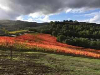 Antico Casale Mevania - 4