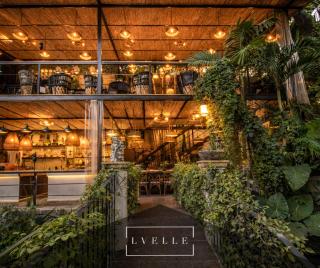 Tropical Villas & Wellness Retreat Morelos - 0