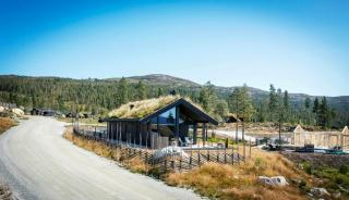 Family Cabin In Hallingdal Ideal For Skiing - 8