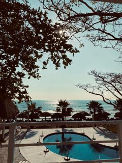 Pelicanos - 5