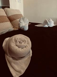 Pelicanos - 1