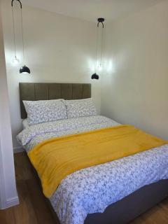 Alexandra Park - 2