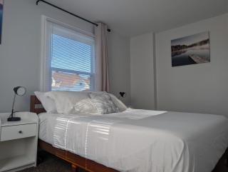 Modern Cozy, Free Parking, Near Downtown - 7
