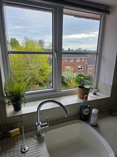 Alexandra Park - 3