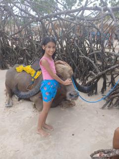 Hoste sol nascente - 2