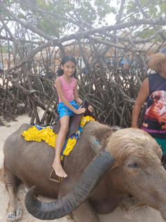 Hoste sol nascente - 4