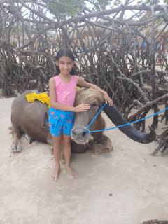 Hoste sol nascente - 5