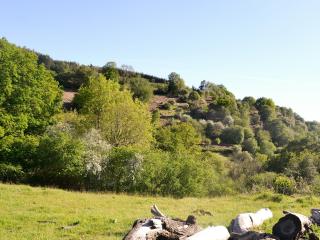 The Old Cider Mill - 1
