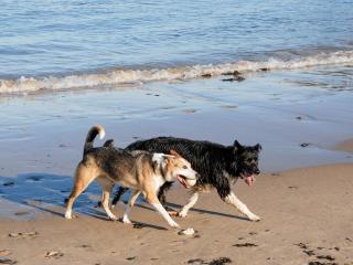 Rogeston Mount - Cottage - Nolton - 1