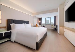 Canton Hotel Guangzhou, Tapestry Collection By Hilton - 2