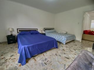 Spacious and Cozy Apartment - 2