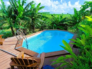 Gites kaz à klemence - Bungalow Catalpa - 9