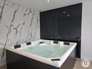 Maison moderne, clim, animaux OK - FR-1-616-572 - 0