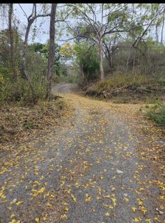Rancho Rustico los Cocobolos - 3
