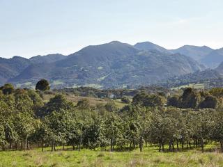 Mansion in Nava with Pool & Terrace - 9