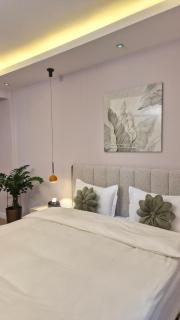 Cozy classic brand new apartment in 120 - 7