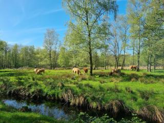 Water Villa in Balk by Slotermeer Lake - 6