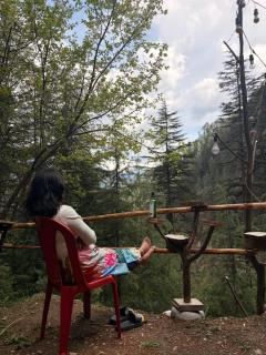 Alpine heaven forest view cottage jibhi, - 5