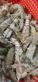 Khách Sạn Long Dung - 7