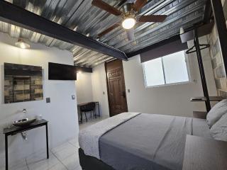 Depas MiniLoft - Guadalajara - 9