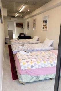 Budget Friendly Studio in Queenstown Sleeps 3 - 0