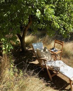 Nature And Peace In Beautiful Surroundings - 4