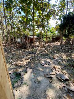 Teak Soul Home - 7