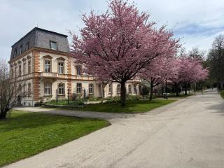 Rotbach Garden - 4