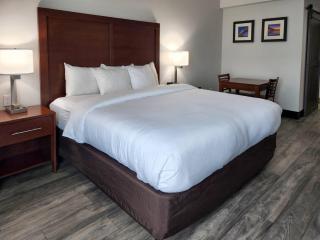 Comfort Suites Baymeadows Near Butler Blvd - 8