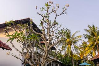 Ancient Retreat Hoi An - Riverfront Resort - 8