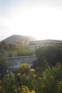 Soma Jawai - 3