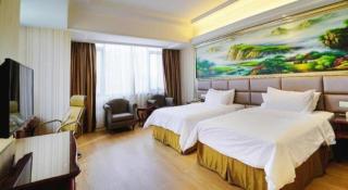 Vienna International Shanghai Nanxiang - 3