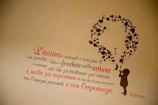 Svevo - Cosenza - 4