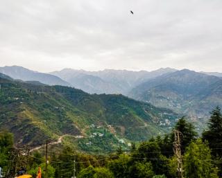 Varuni Gd Hotel Mcleodganj - 5