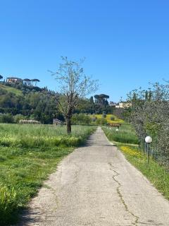 La camera nel verde - Florence - 0