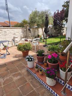 Vistaluz playa - Matalascañas - 8