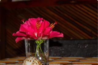 Bungalow chez Fréderic - 6