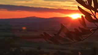 vecchio casale quercetino - 1